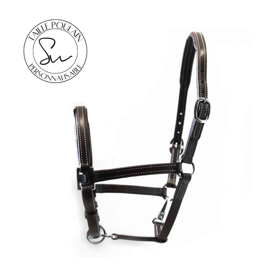 Licol personnalisable poulain en cuir Little
