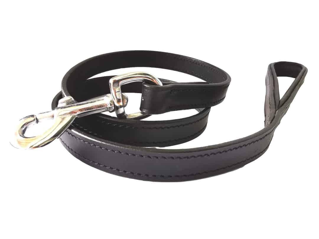 Laisse en cuir “XTRA”