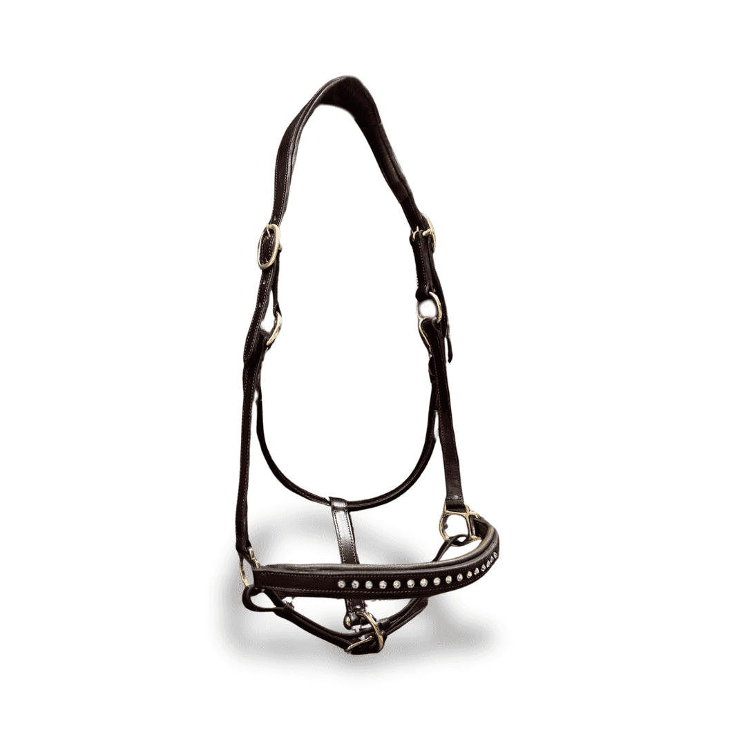 Licol personnalisable en cuir Stellar