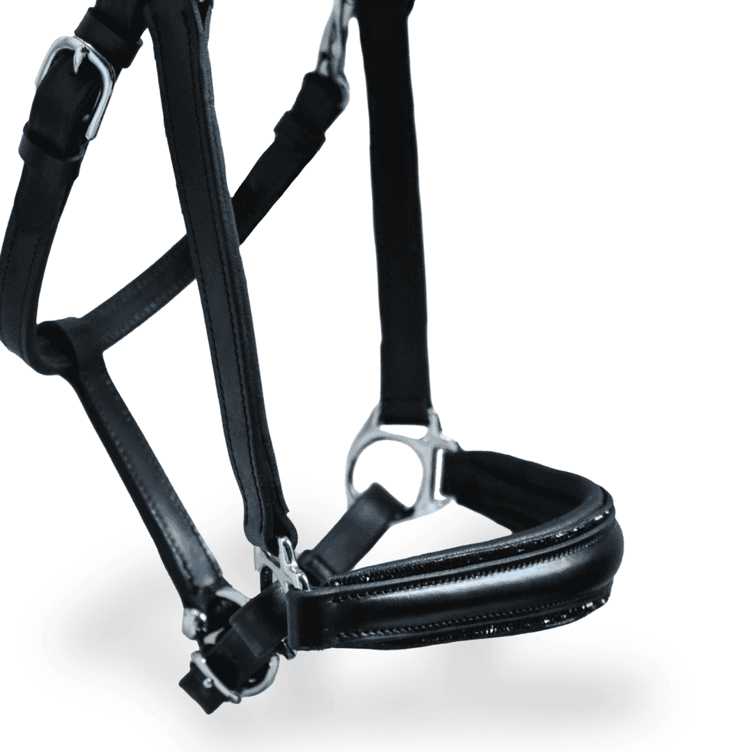 Licol personnalisable en cuir Nova