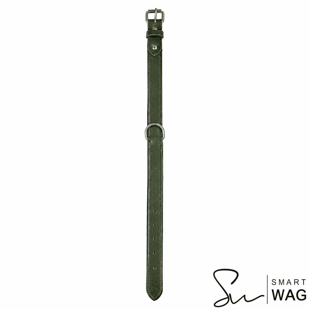 Collier Holly Vert Kaki personnalisé en cuir pour chien