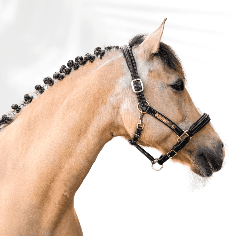 Personalisierbares Lederhalfter Exclusif PRO