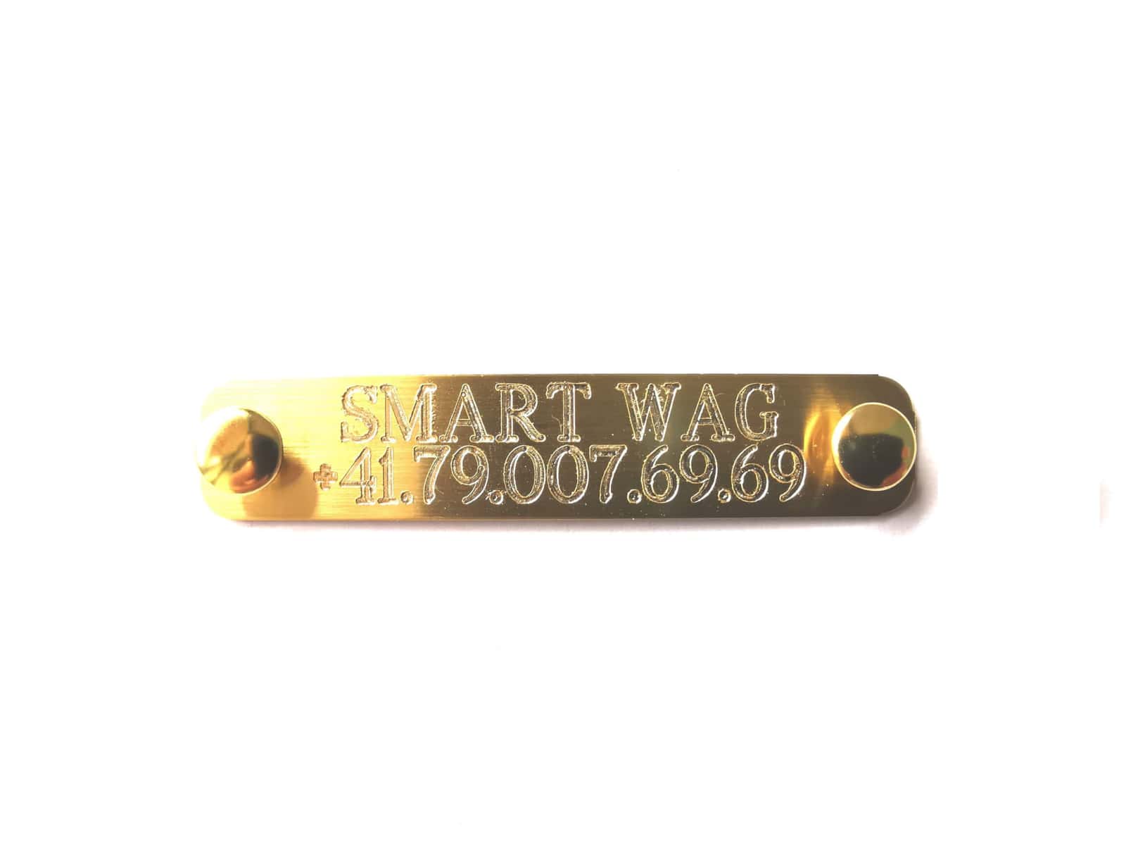 Close-up of a gold nameplate for engraving a personalised Smart Wag dog collar