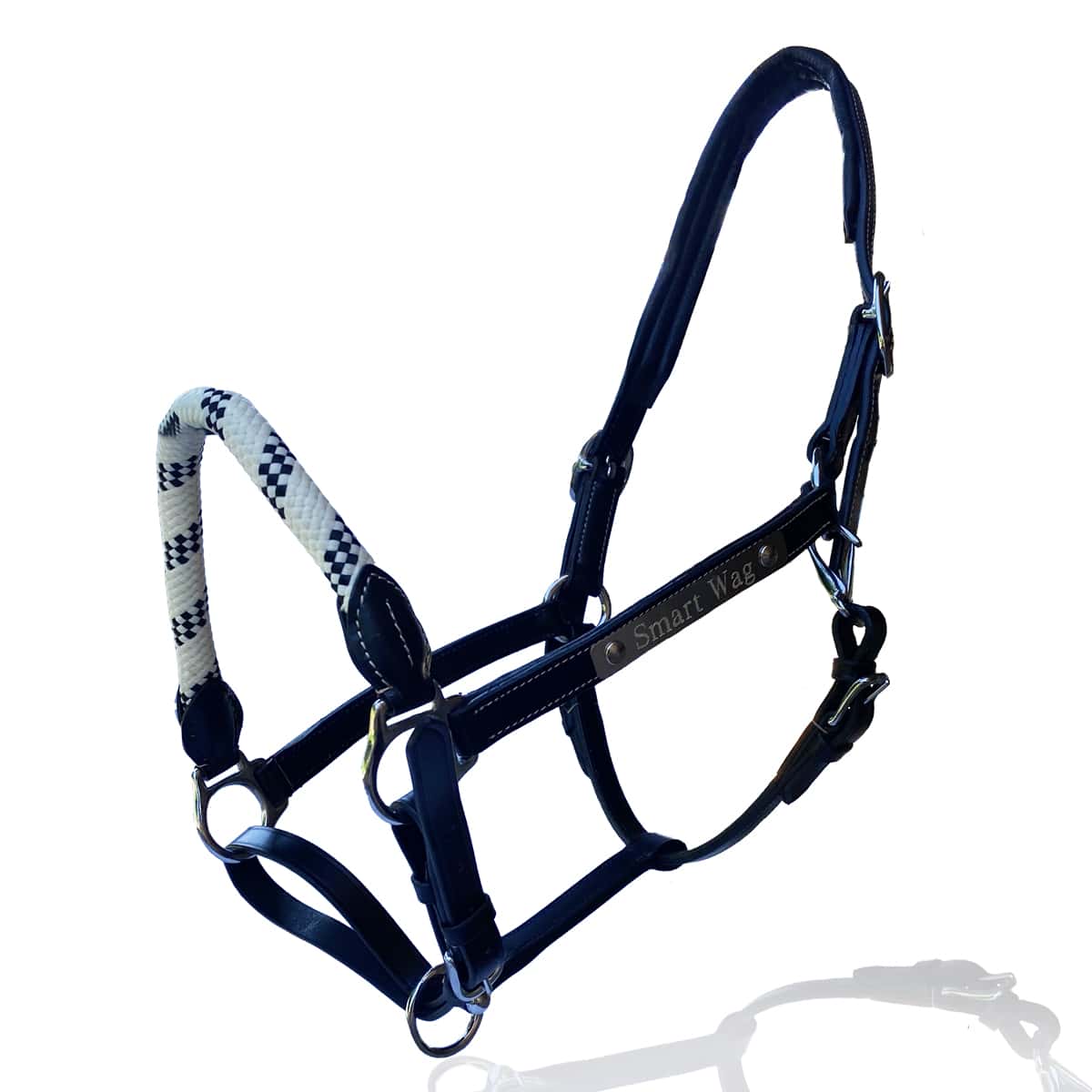 Black Smart Wag Leather and Rope halter with its engraved silver plate