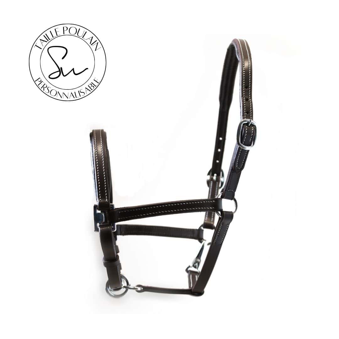 Licol poulain Little en cuir Smart Wag