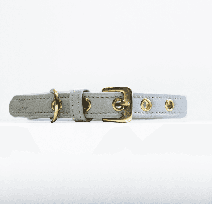 Personalisiertes farbiges Lederhalsband Goldy