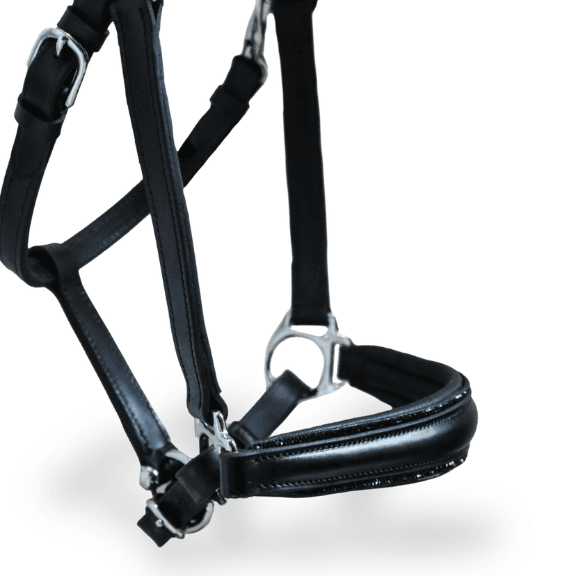 Licol personnalisable en cuir Nova