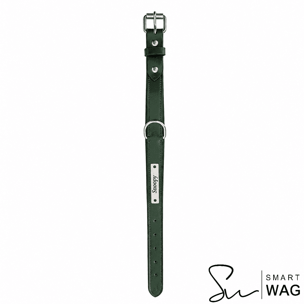 Example of a silver-coloured nameplate attached to a green Smart Wag Holly leather collar