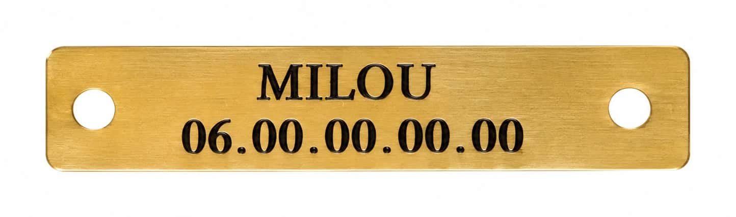 Close-up photograph of a brass plate engraved on two lines, shown as a detail that is not to scale