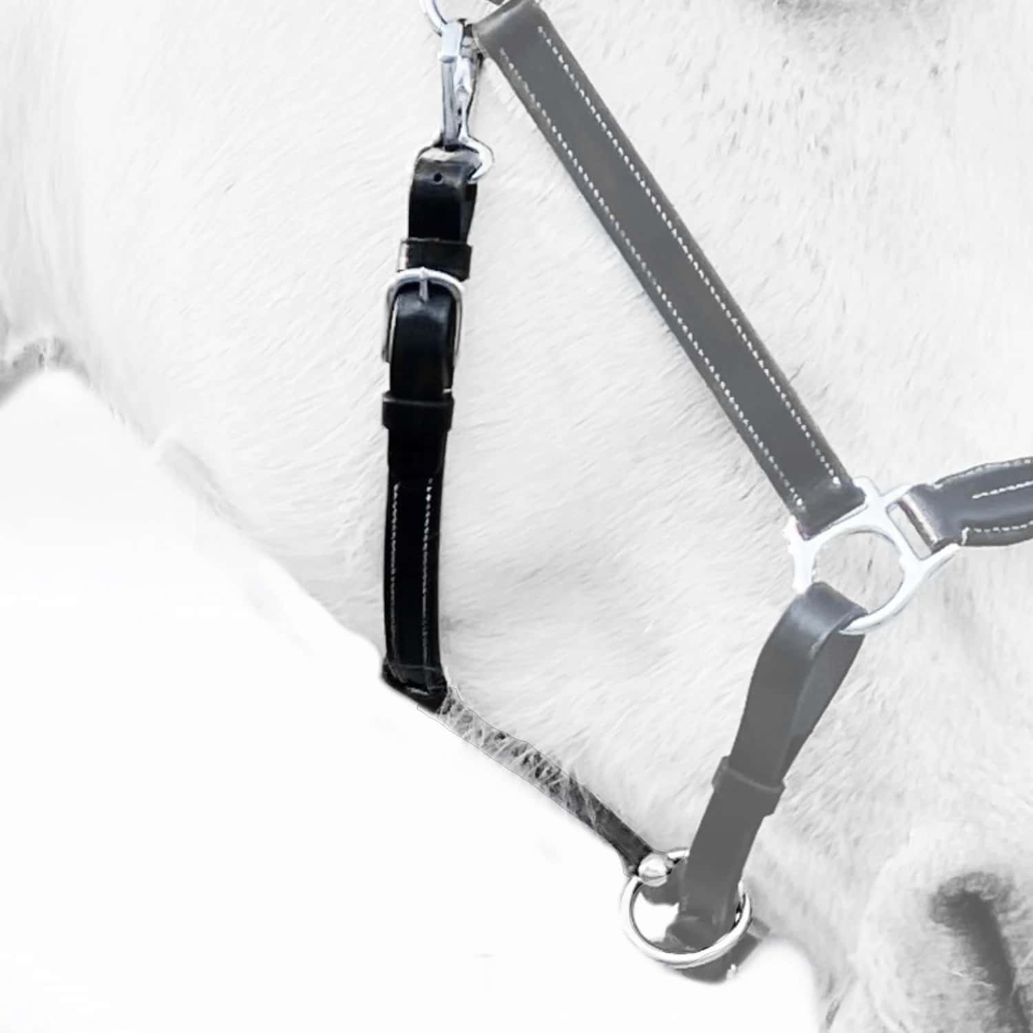 Smart Wag throat strap with a silver-coloured snap hook held by a buckled leather tab