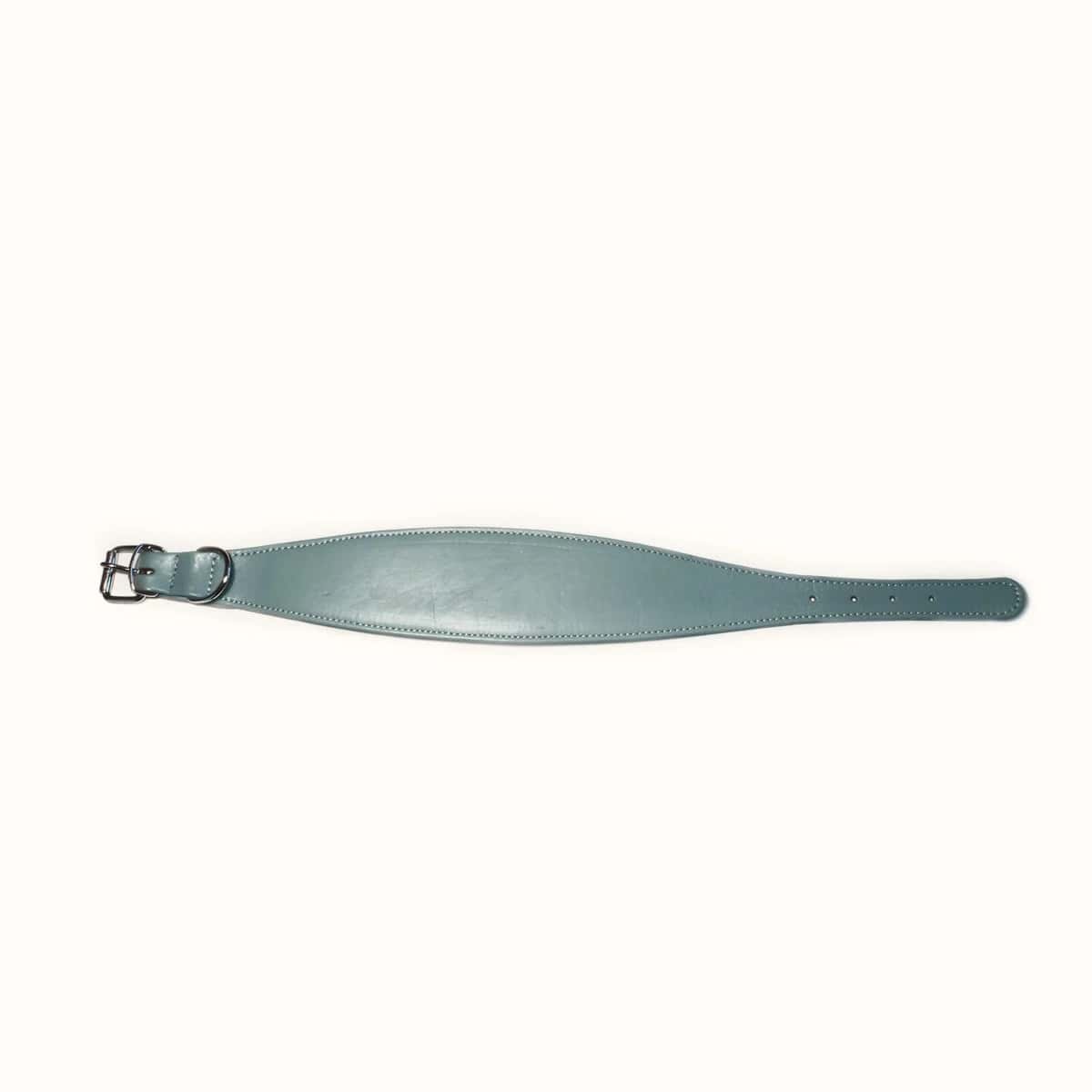 Flach ausgelegtes blaues Wippet-Halsband mit breitem Mittelteil aus Leder und schmal zulaufenden Enden