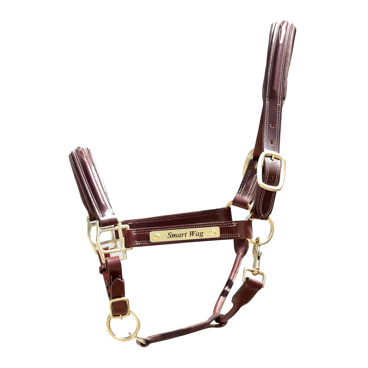 Brown leather Exclusif headcollar with a gold-coloured nameplate engraved Smart Wag