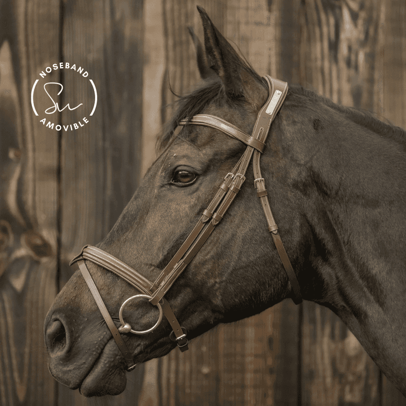 Customisable New Soul leather bridle