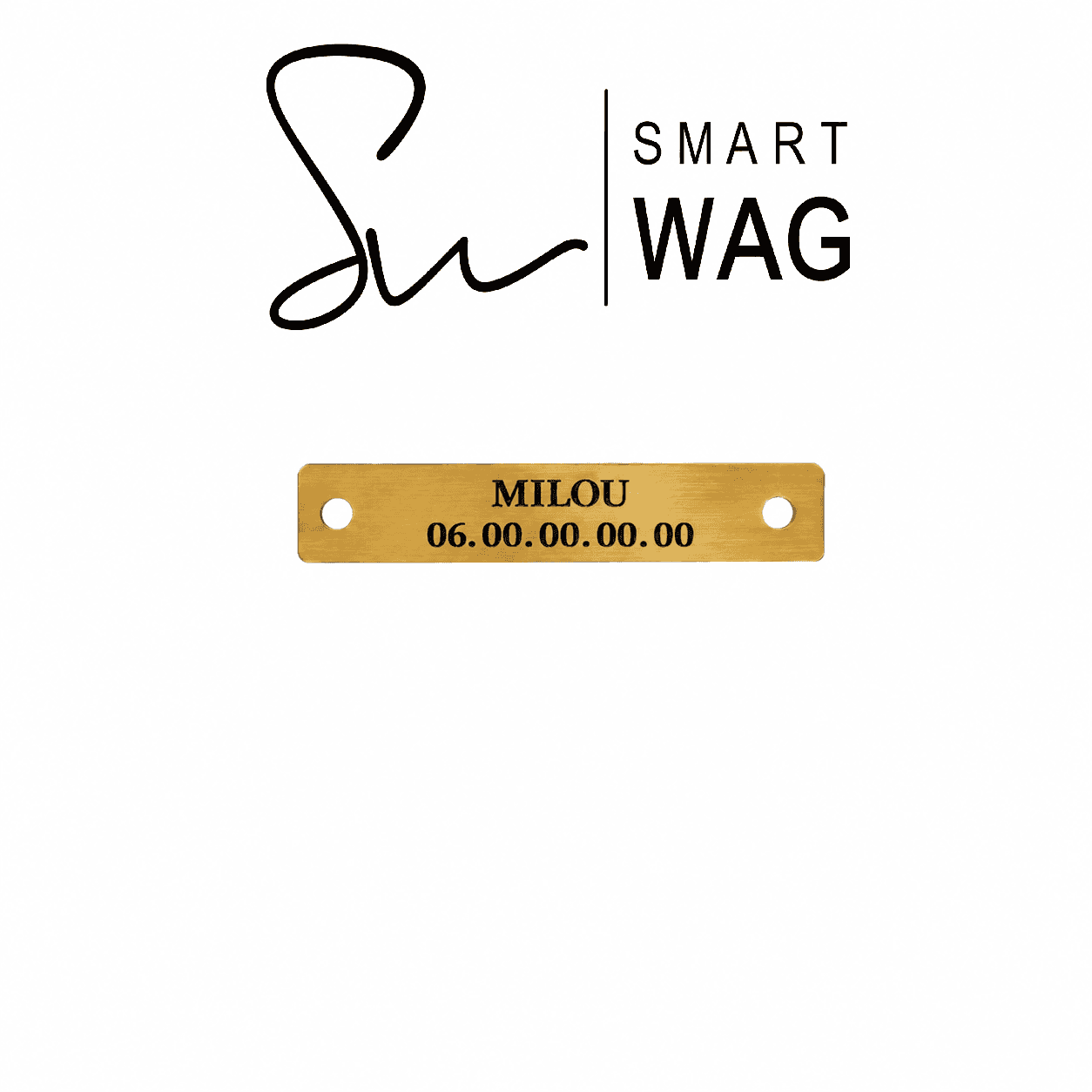 Smart Wag personalised nameplate riveted onto a dog collar