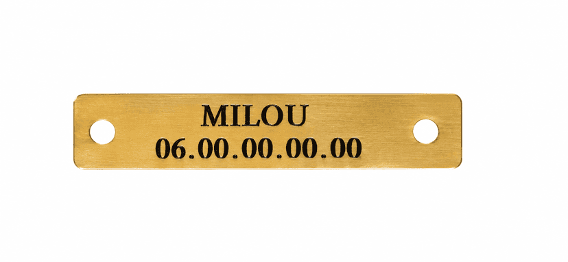 Plaque personnalisable collier pour chien