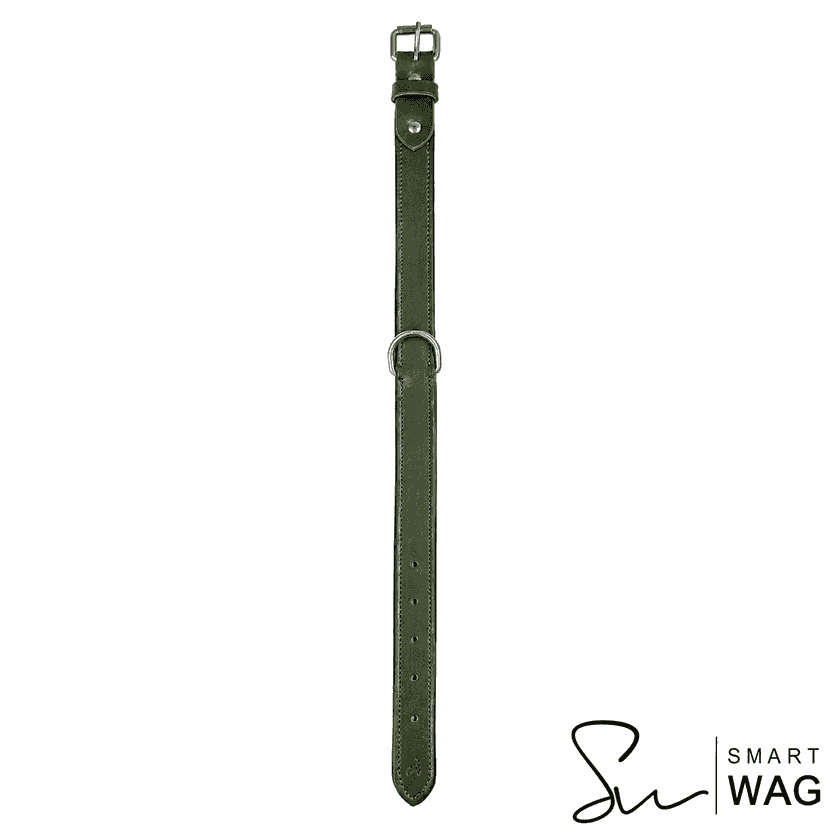Personalised Holly khaki green leather dog collar
