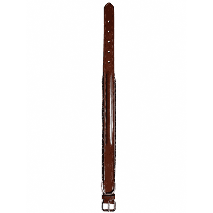 Collier pour chien personnalisé en cuir Nova