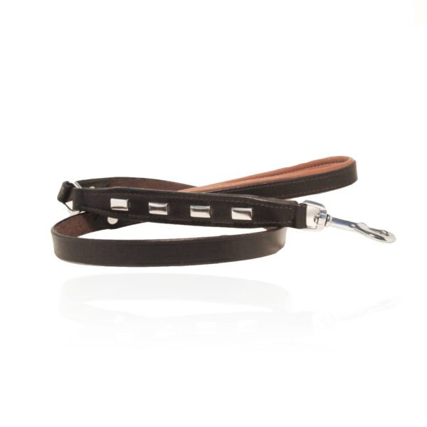 Leather leash “CLING”