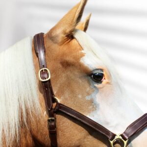 Customisable horse halter