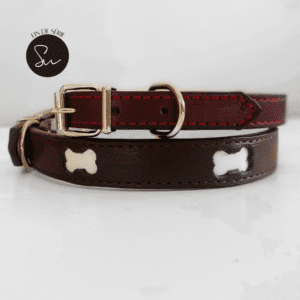 collier chien os