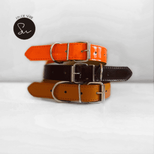 collier chien orange