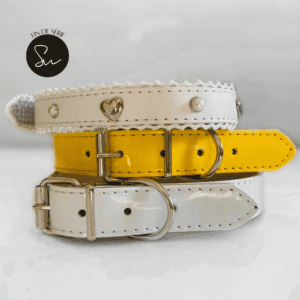 collier chien jaune