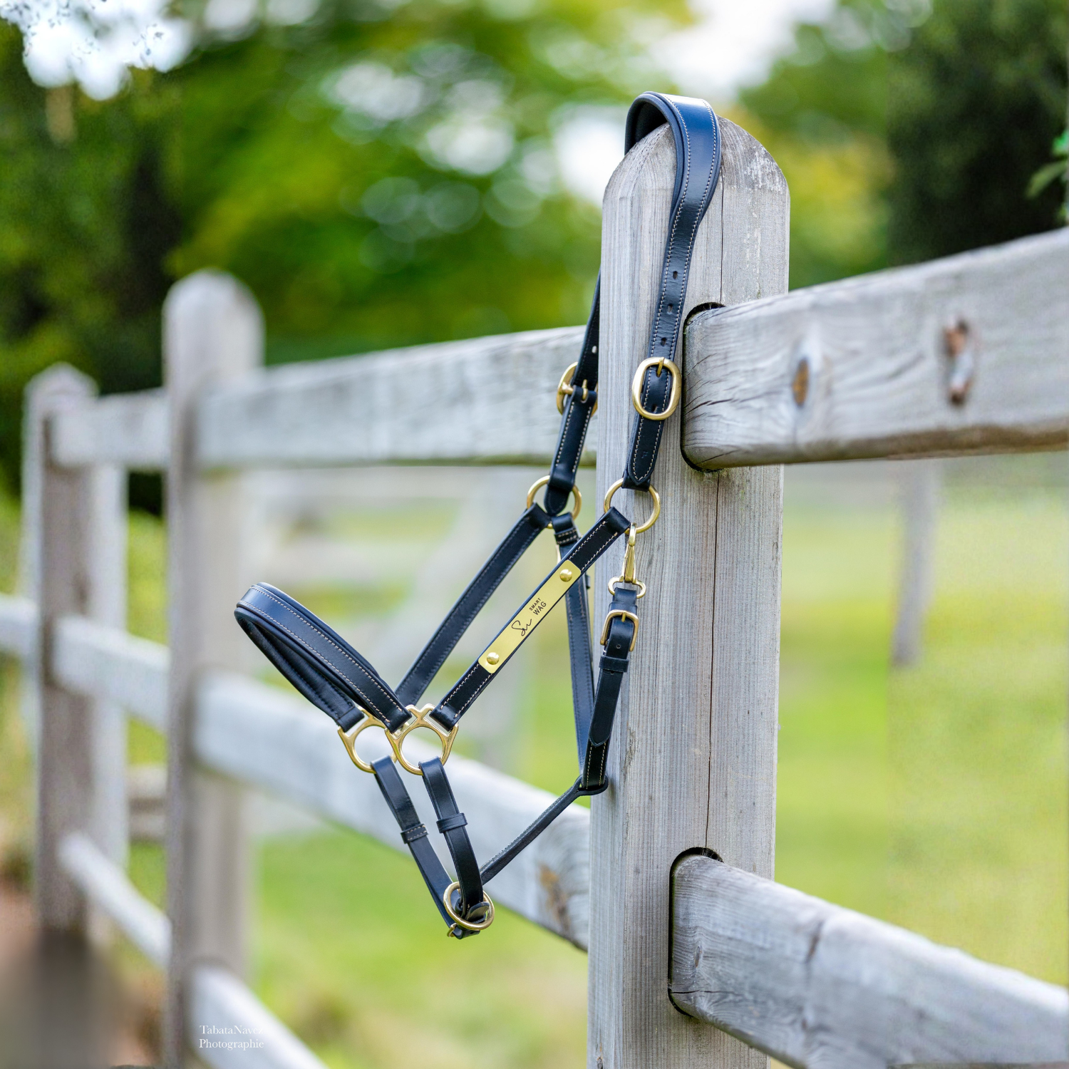 Licol personnalisable en cuir Soul NeckFit – Image 3