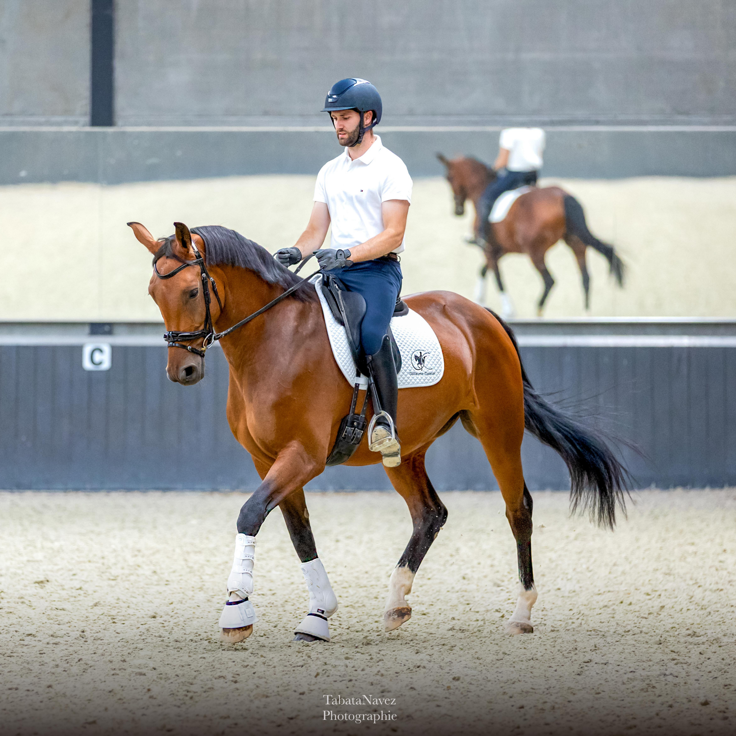 Bridon personnalisable en cuir vernis Zurich – Image 4