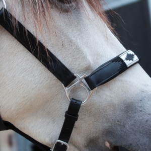 Customised leather halter with engraved polo headband