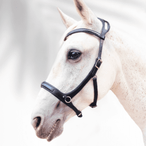 sidepull pour cheval en cuir noir