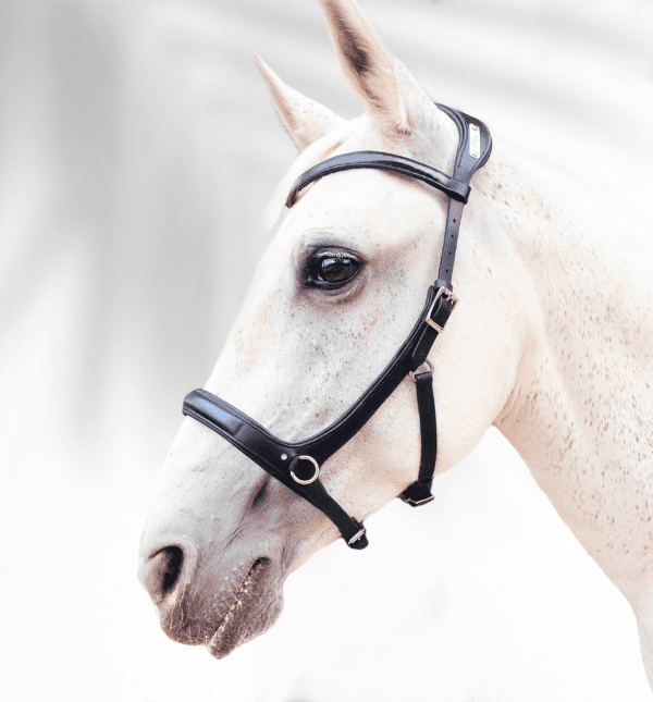 sidepull pour cheval en cuir noir