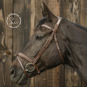 bridon en cuir têtière anatomique, noseband amovible