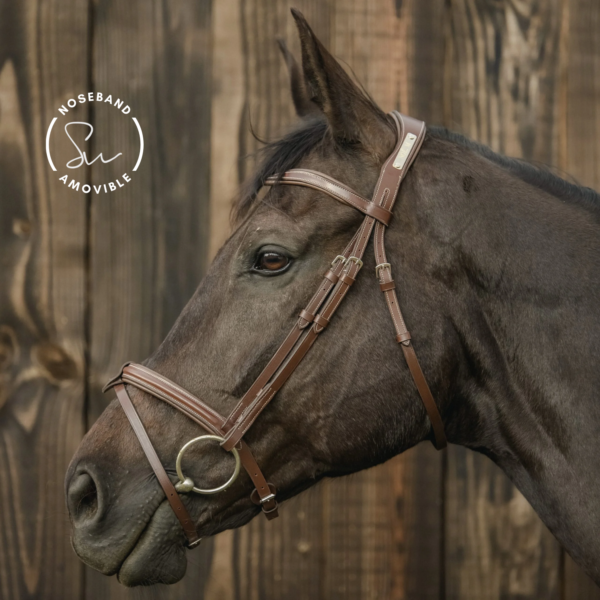 bridon en cuir têtière anatomique, noseband amovible