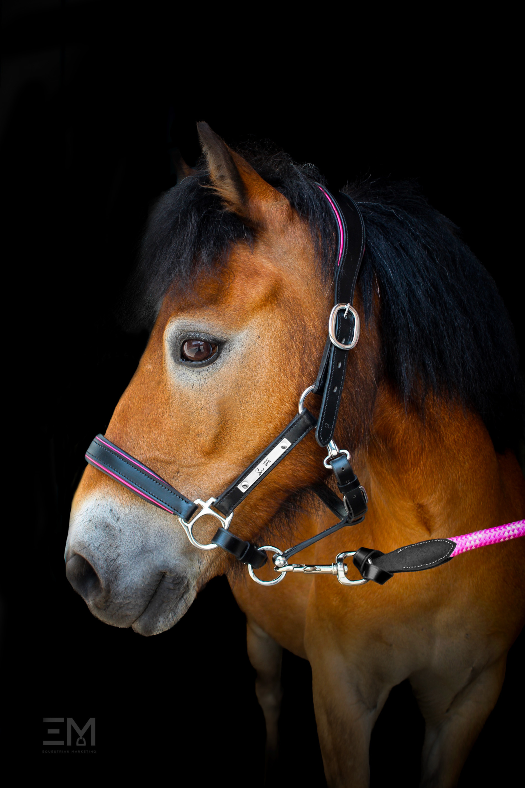 Licol personnalisable en cuir Misty – Bild 2