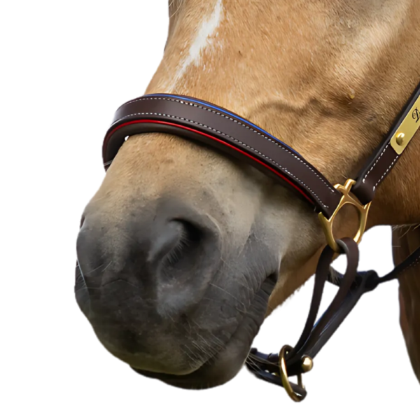 personalised leather halter