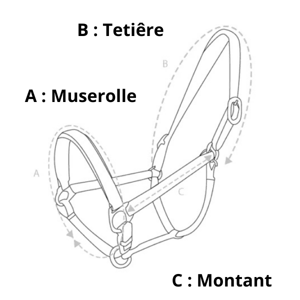 les différentes parties du licol