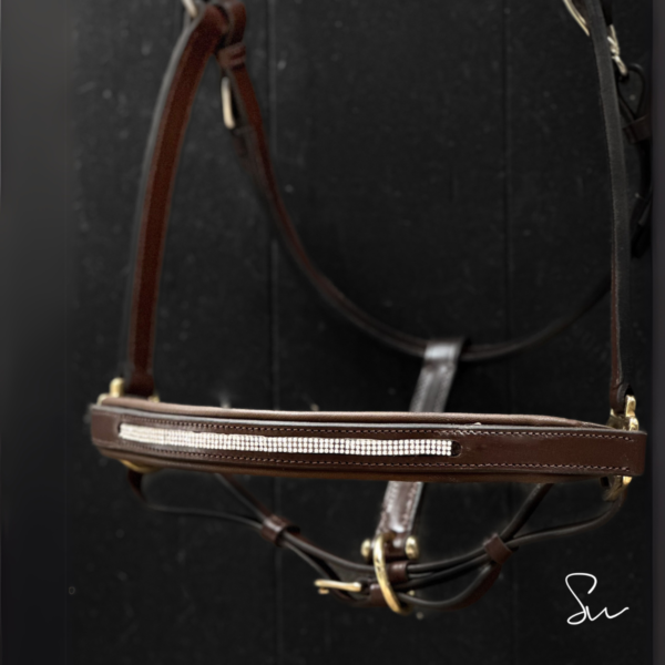Licol personnalisable en cuir Galaxie – Image 5