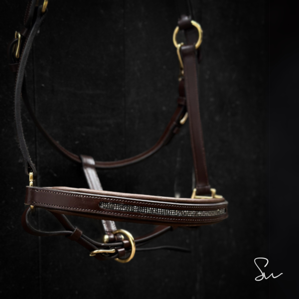 Licol personnalisable en cuir Galaxie – Image 6