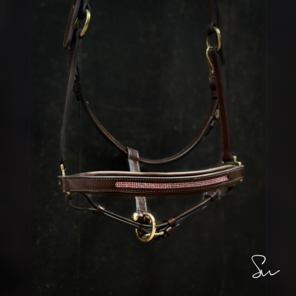 Licol personnalisable en cuir Galaxie – Image 7