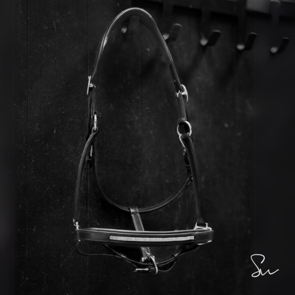 Licol personnalisable en cuir Galaxie – Image 8