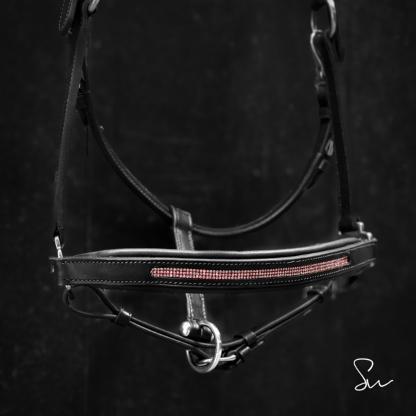 Licol personnalisable en cuir Galaxie – Image 9
