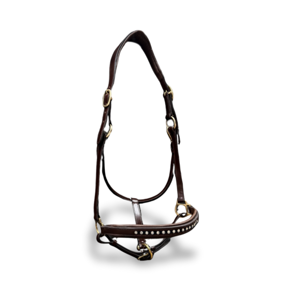 Licol personnalisable en cuir Stellar