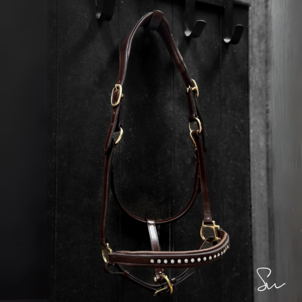 Licol personnalisable en cuir Stellar – Image 4