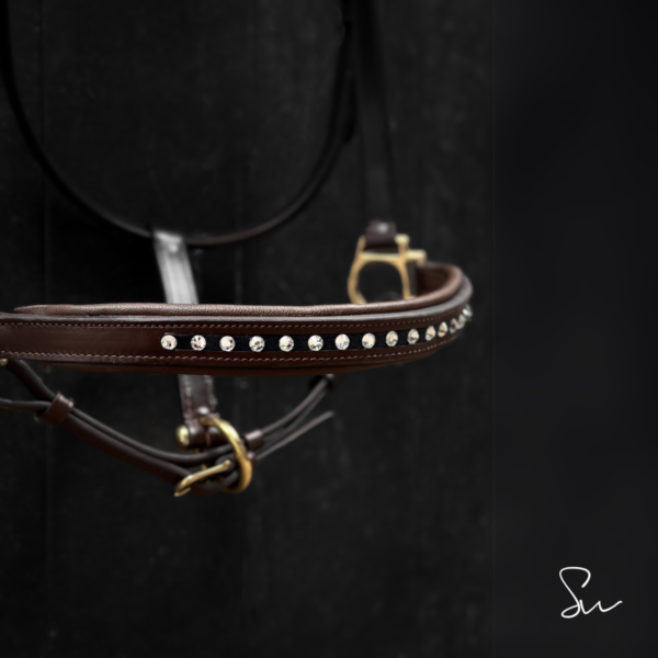 Licol personnalisable en cuir Stellar – Image 3