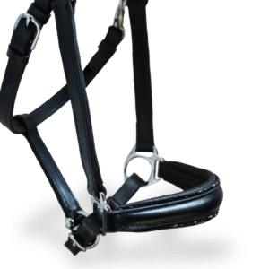 Licol personnalisable en cuir Nova