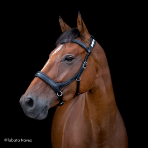 Sidepull en cuir personnalisable Valkyrie