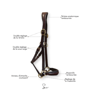 Licol personnalisable en cuir Nova – Bild 7