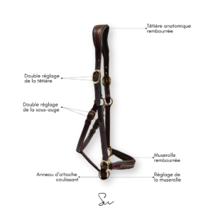 Licol personnalisable en cuir Sparkle – Bild 4